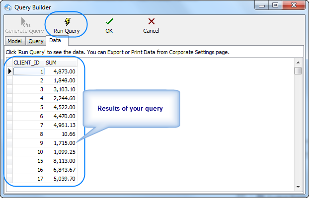 data_tab_of_query_builder_window_results